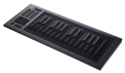 Roli - Seaboard Rise 25