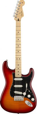 Fender - Player Stratocaster Plus Top MN - ACB